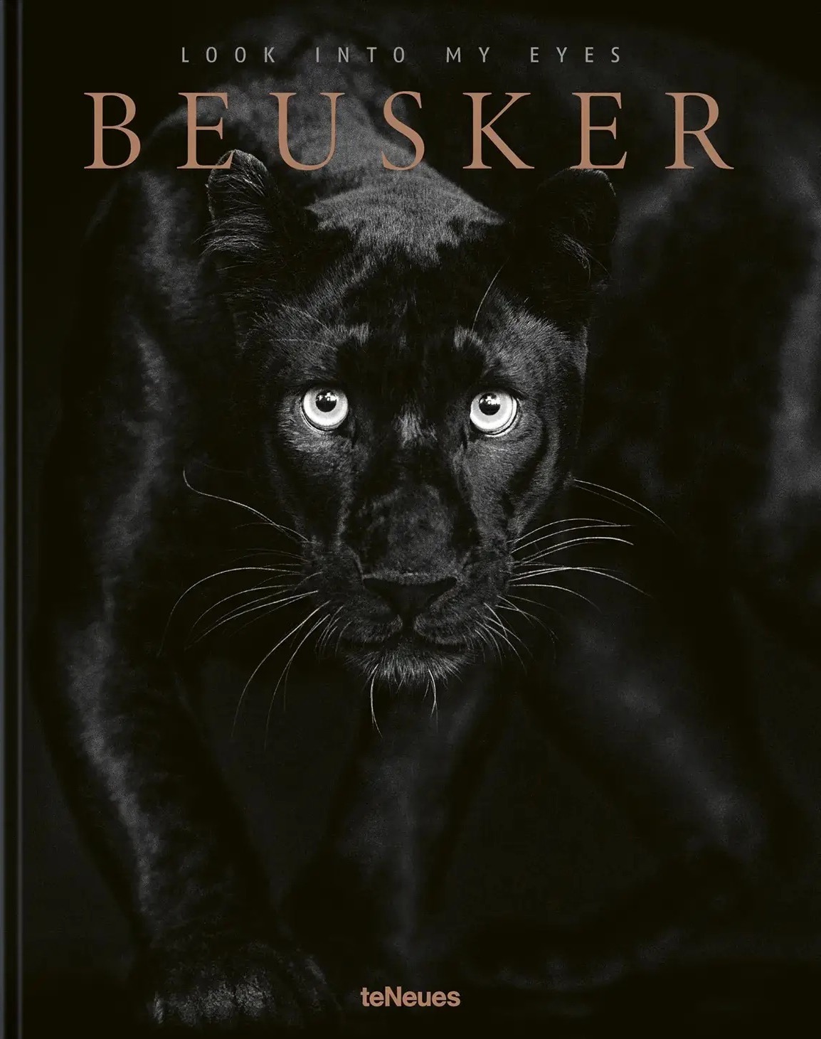 Beusker: Look into my Eyes