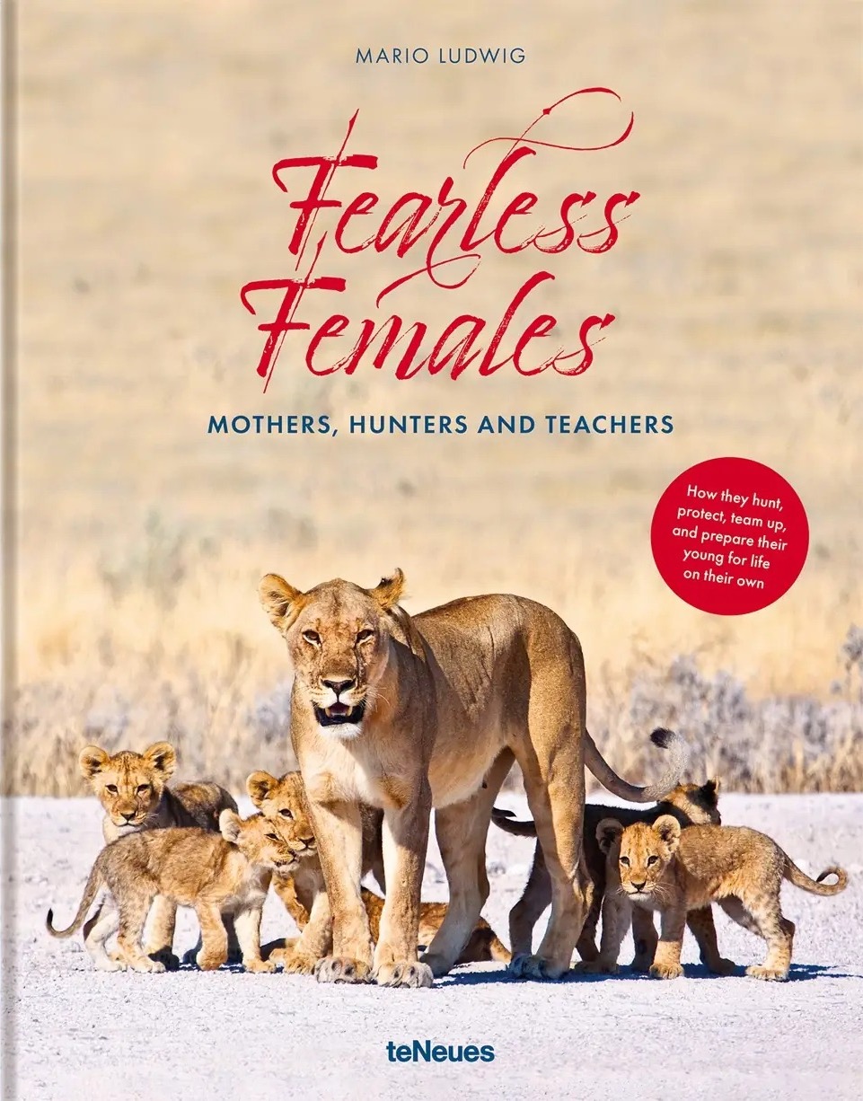 Fearless Females by Mario Ludwig