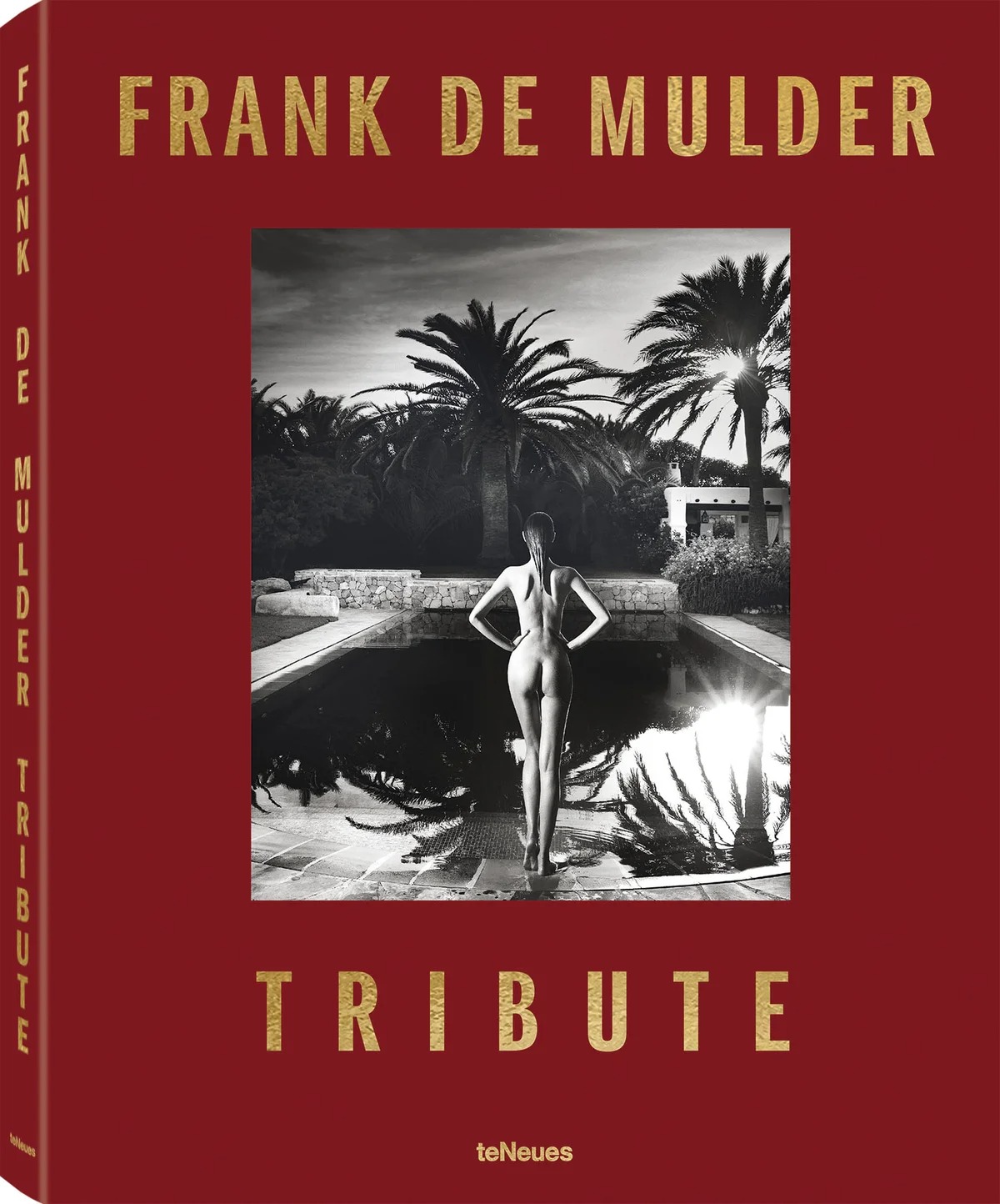 Frank de Mulder Tribute (gesigneerd)